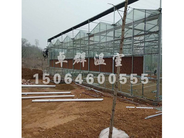 邵莊鎮(zhèn)生態(tài)餐廳溫室.jpg