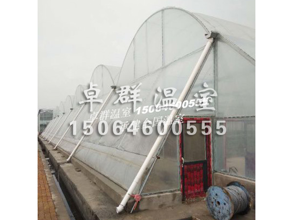 天津市西青區(qū)水稻育苗溫室.jpg