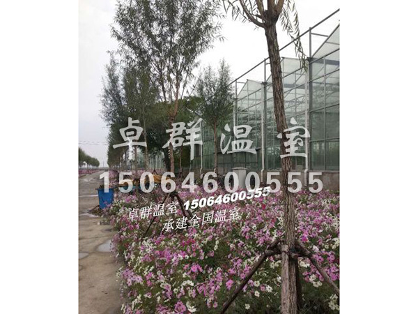 天津市西青區(qū)水生植物園.jpg