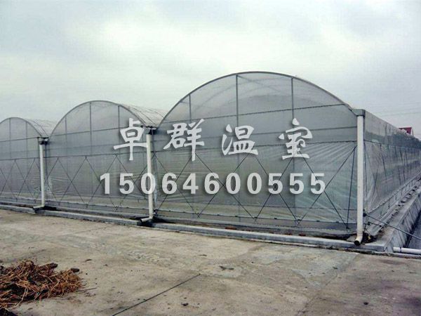陽光板（PC板）溫室