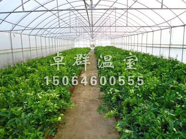 智能溫室