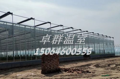 河南省信陽(yáng)市紋絡(luò)玻璃溫室