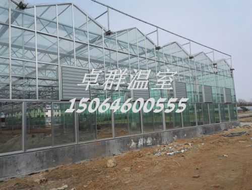 內(nèi)蒙古包頭市紋絡(luò)玻璃溫室。