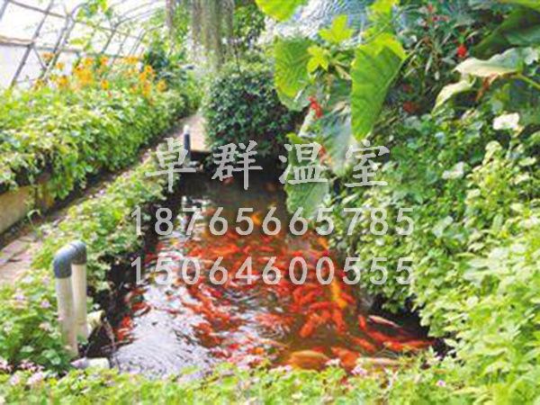 山西省忻州市魚(yú)菜共生